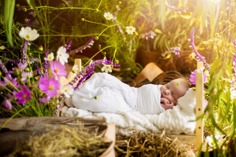 20 Lelani Studio Forist theme copy